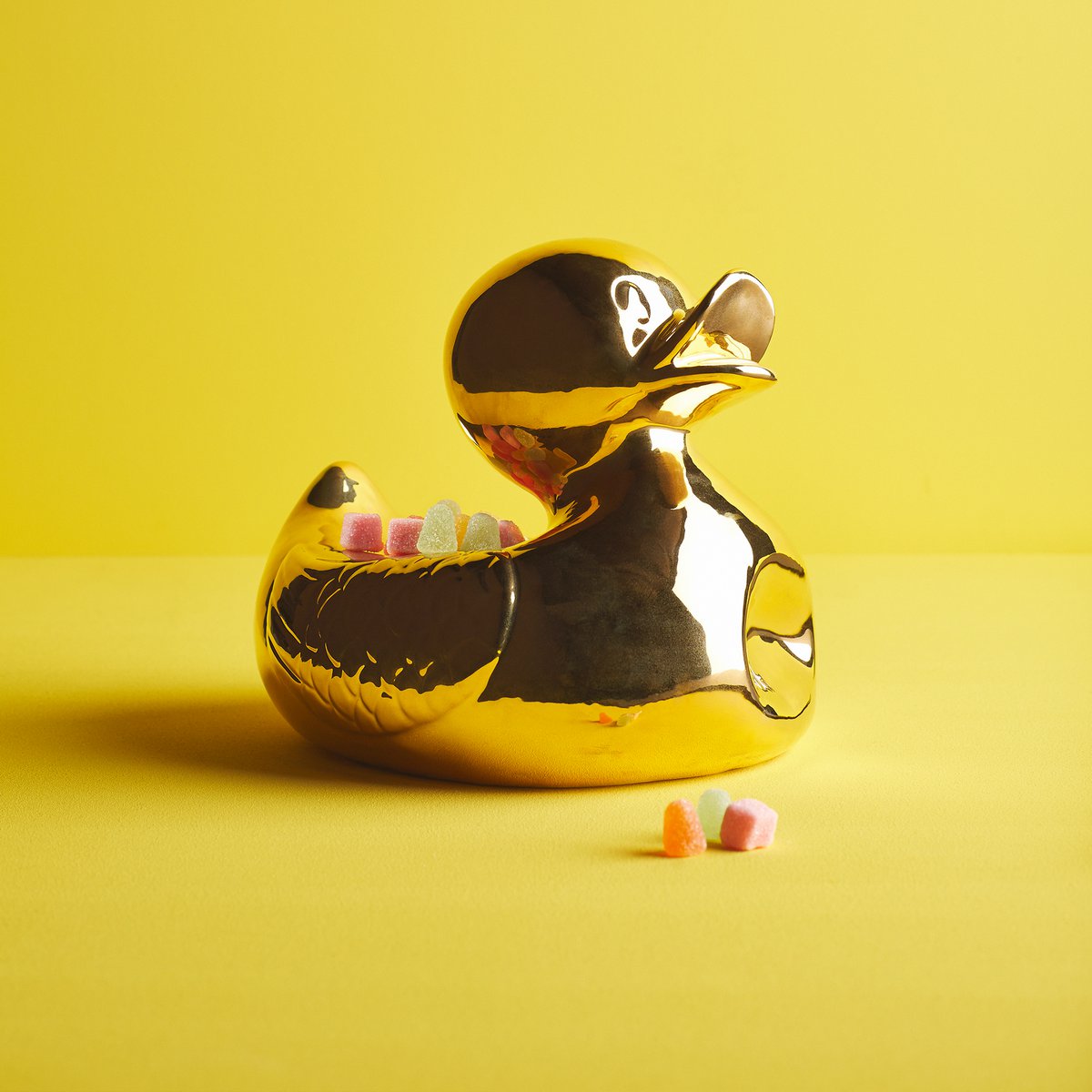 Herr. Hässliches Entlein klein und groß