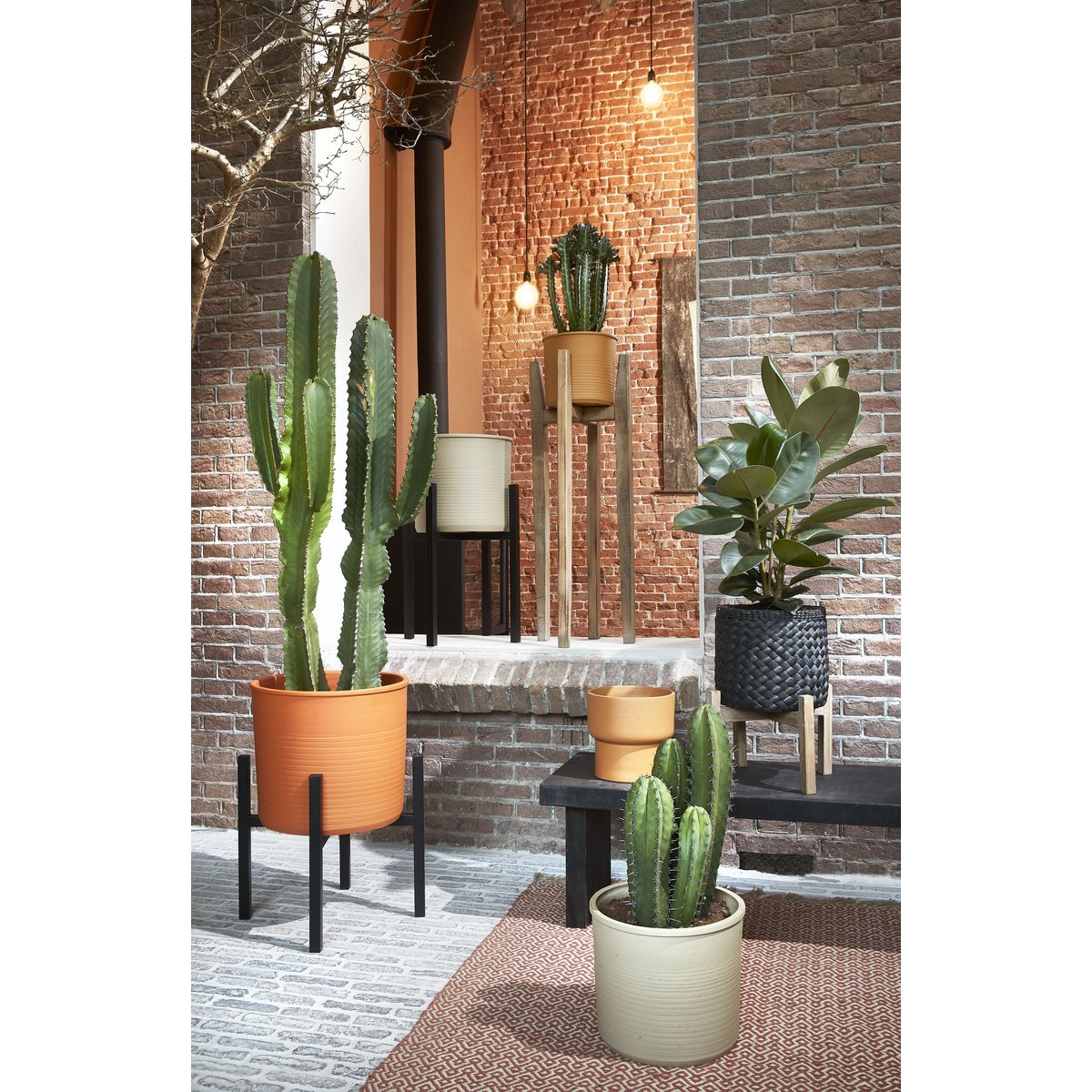Ascot Pflanzenständer XL – L46 x B46 x H40 cm – Metall – Schwarz