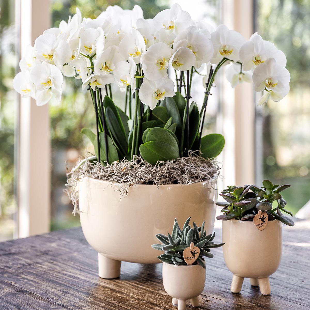 Gummitopf Travertin – Ø6cm