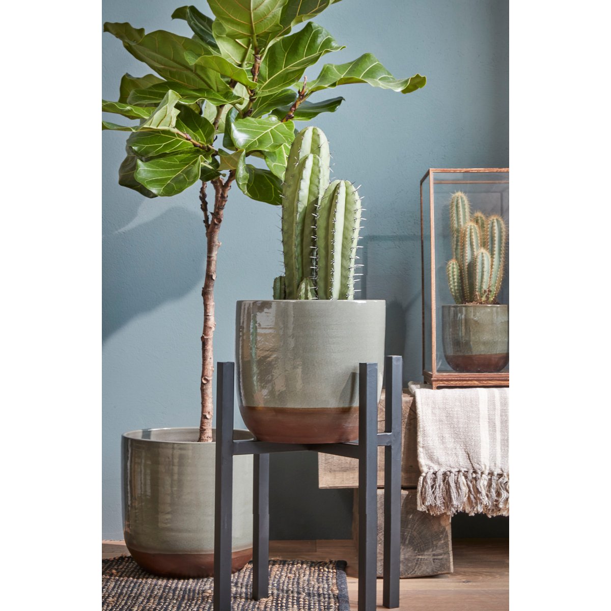 Ascot Pflanzenständer XL – L34 x B34 x H50 cm – Metall – Schwarz