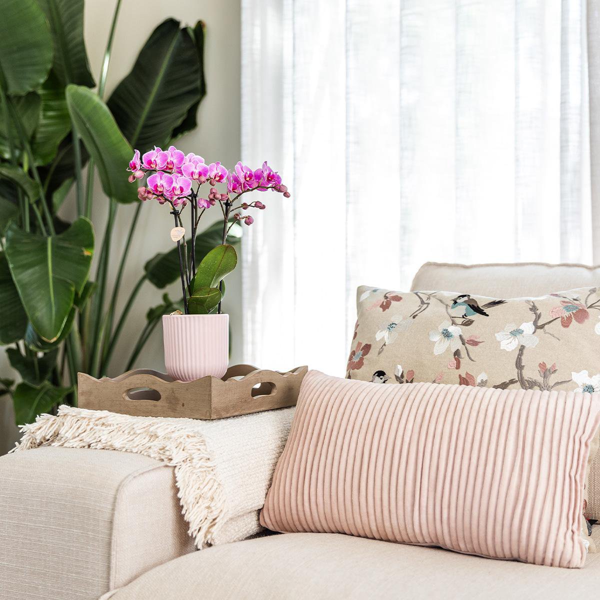 Übertopf „Diabolo“ -Topf rosa - Ø12cm