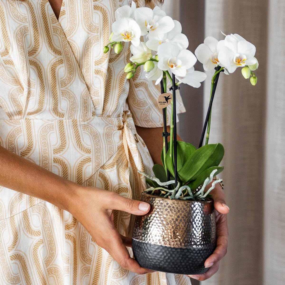 Übertopf aus Kupfer – Ø9cm