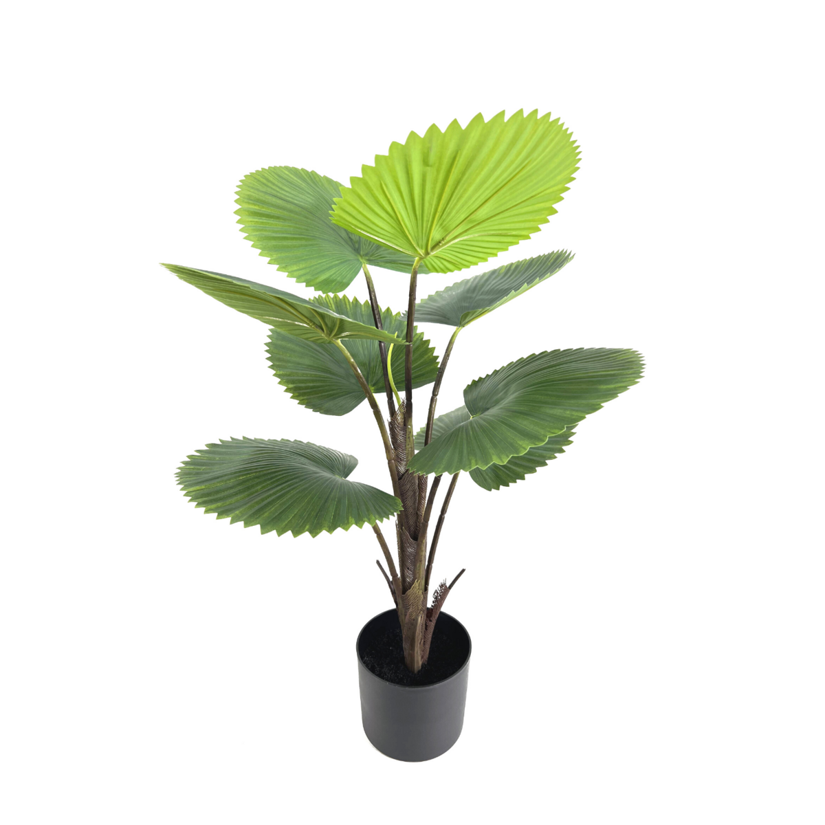 Künstliche Fächerpalme 75cm