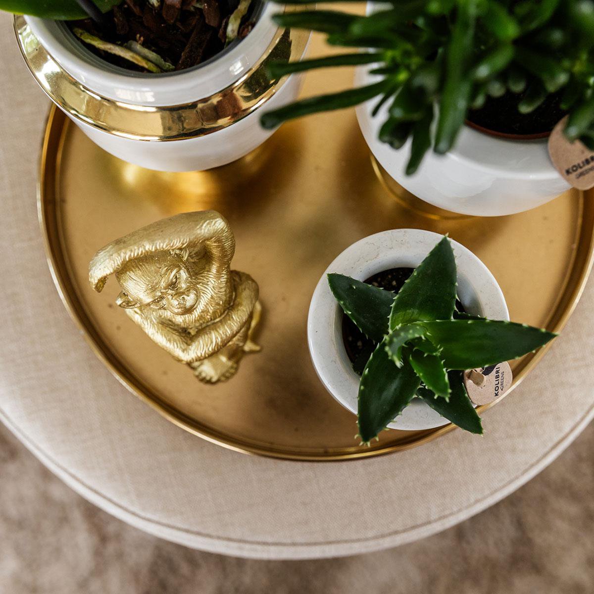 Le Chic Blumentopf – Weißer dekorativer Keramiktopf mit goldenen Details – Ø6 cm