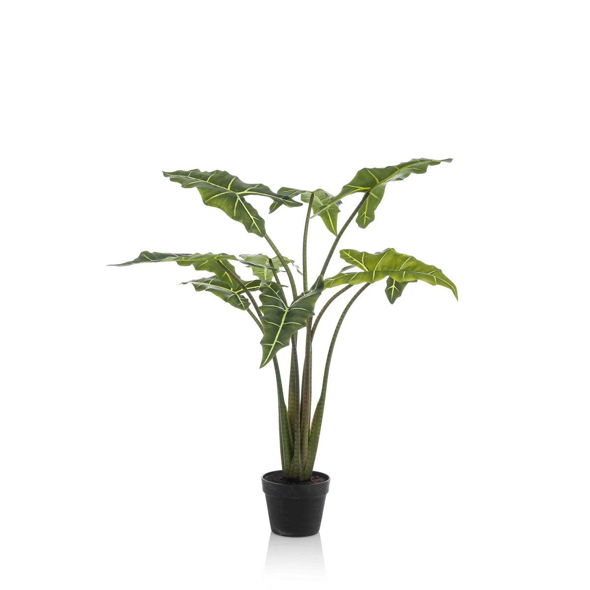 Künstliche Pflanze - Alocasia Frydek - Elefantenohr - 120 cm