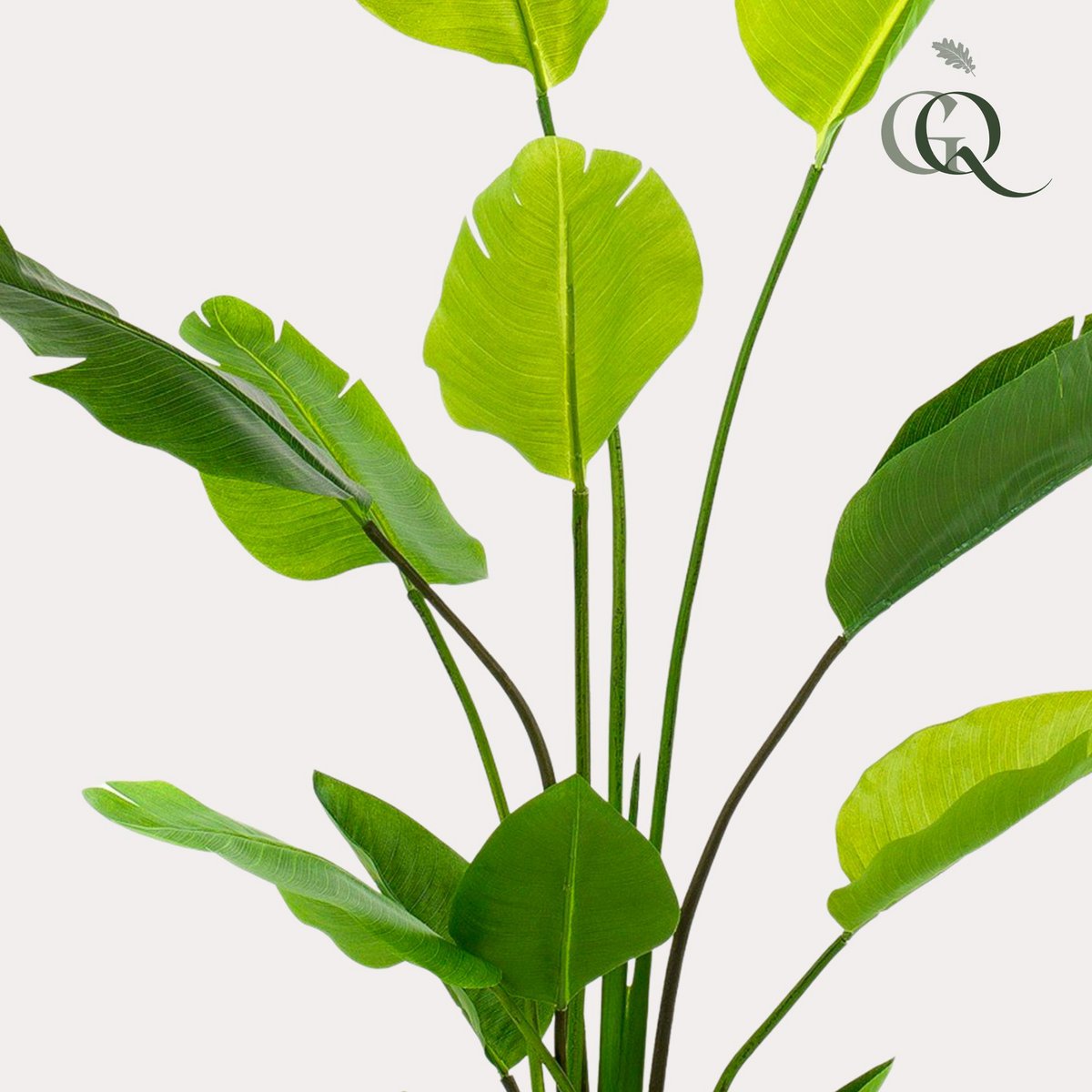 Kunstpflanze - Strelitzia Nicolai - Paradise Vogelblume - 150 cm