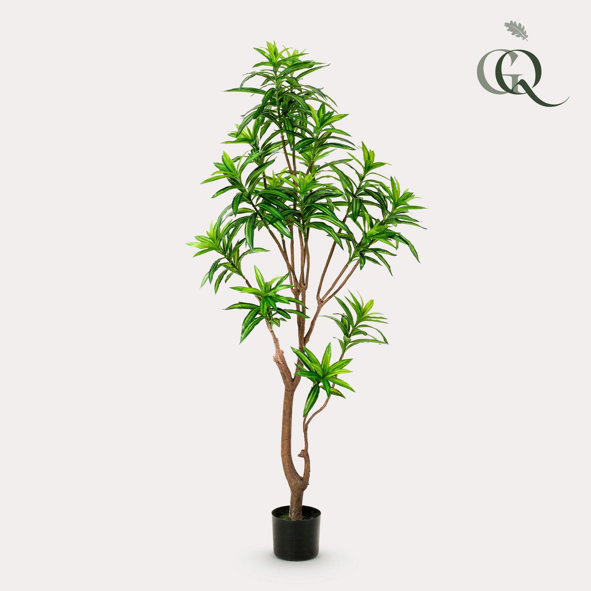 Künstliche Pflanze - Dracaena - Drachenbaum