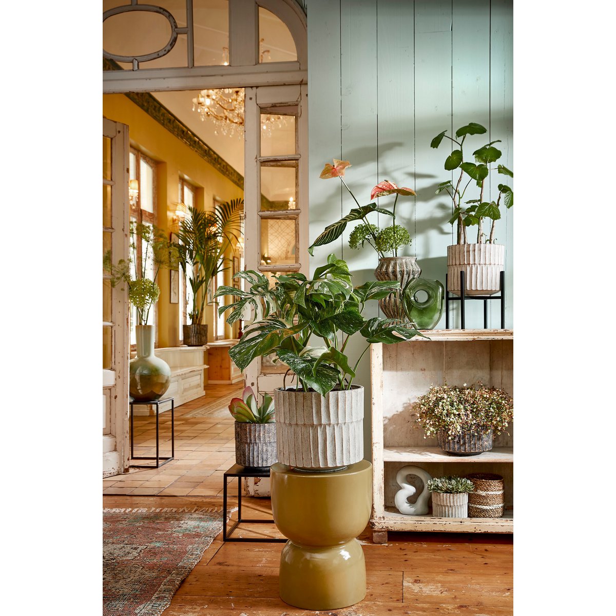 Ascot Pflanzenständer XL – L34 x B34 x H50 cm – Metall – Schwarz