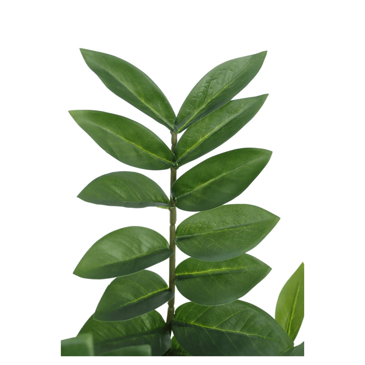 Zamioculcas Kunstpflanze 75cm – Tannendiele BlumenGut Düsseldorf