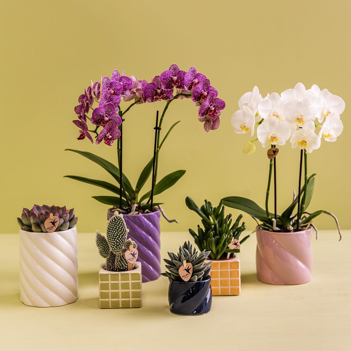 Candy Dekotopf - Rosa - Ø9cm