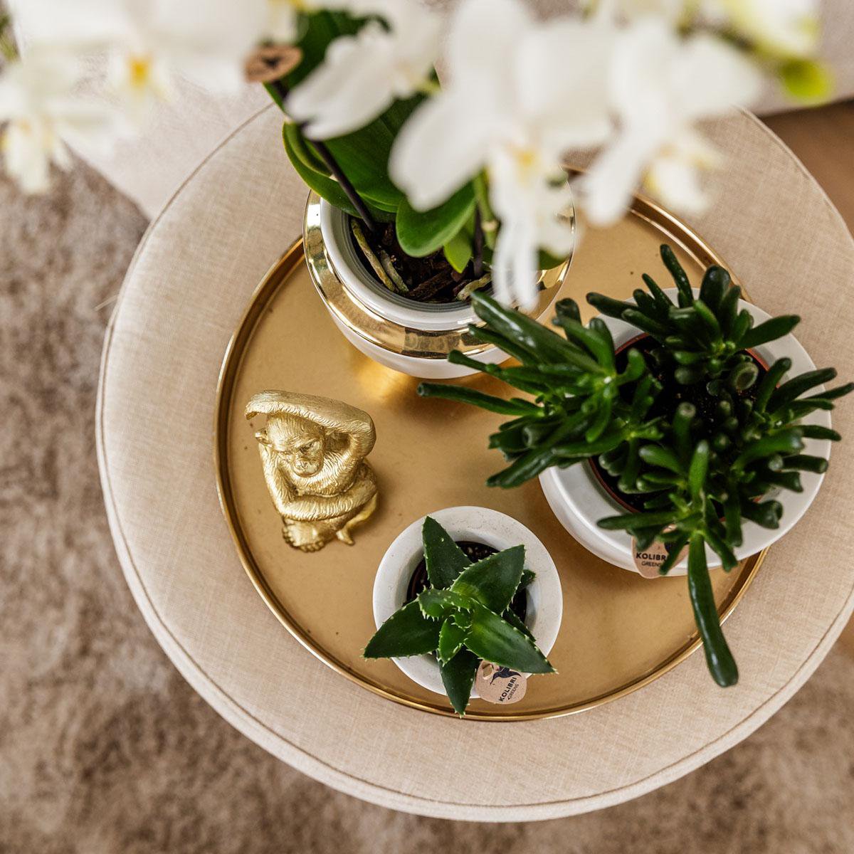 Le Chic Blumentopf – Weißer dekorativer Keramiktopf mit goldenen Details – Ø6 cm