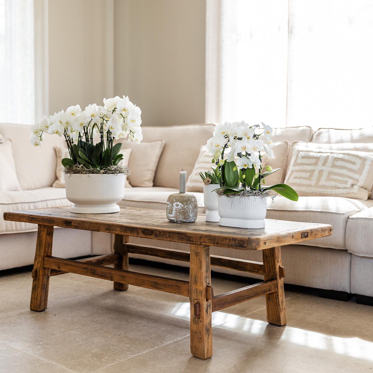 Übertopf „Diabolo“ -Topf weiß - Ø9cm