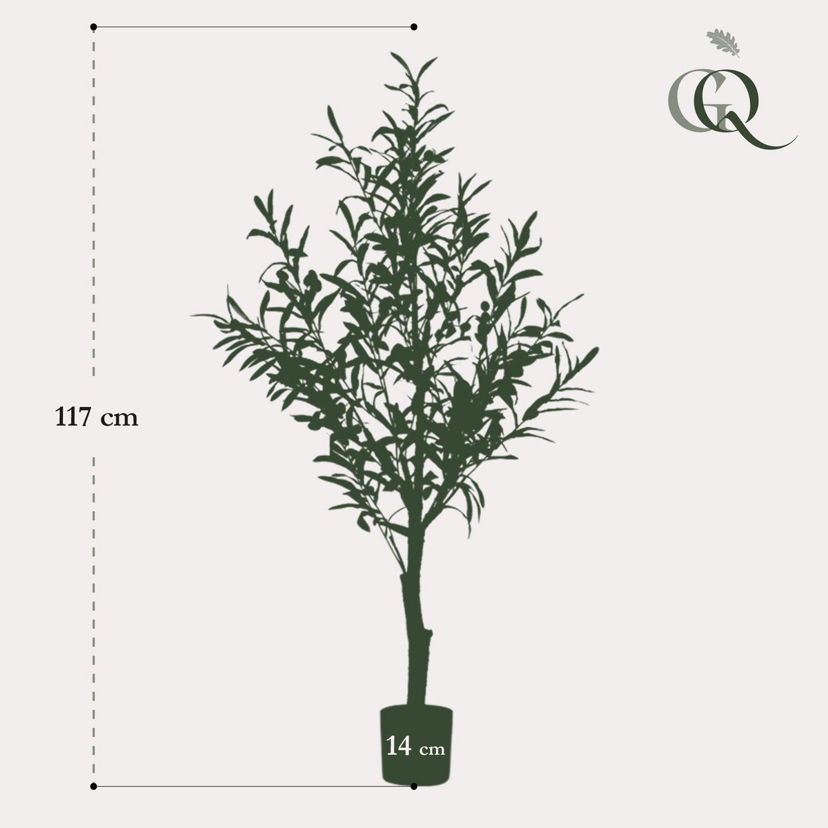 Art Olivenbaum - Olea Europaea - Olivenbaum - 115 cm