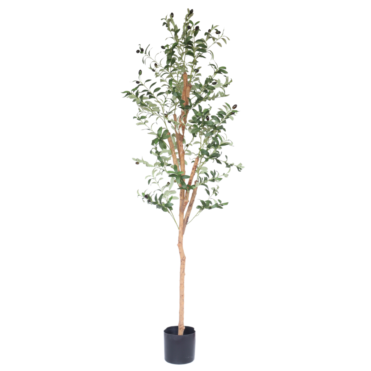 Künstlicher Olivenbaum 170 cm – Tannendiele BlumenGut Düsseldorf