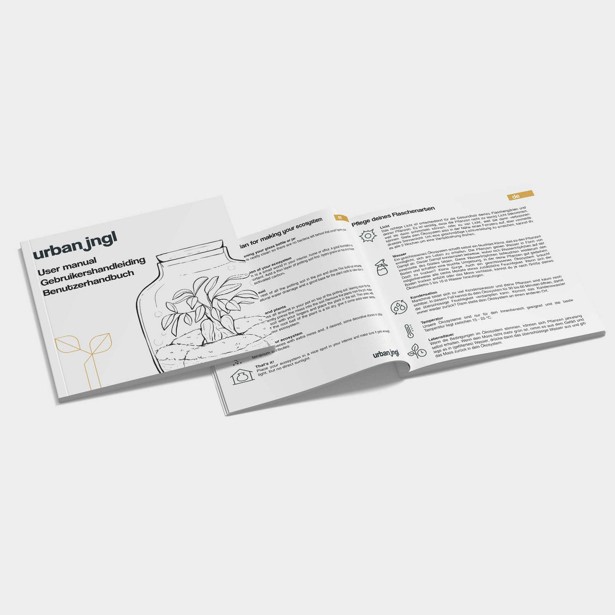 Glas-Terrarium-Set – Asperagus – Flaschengarten – ↑ 28 cm