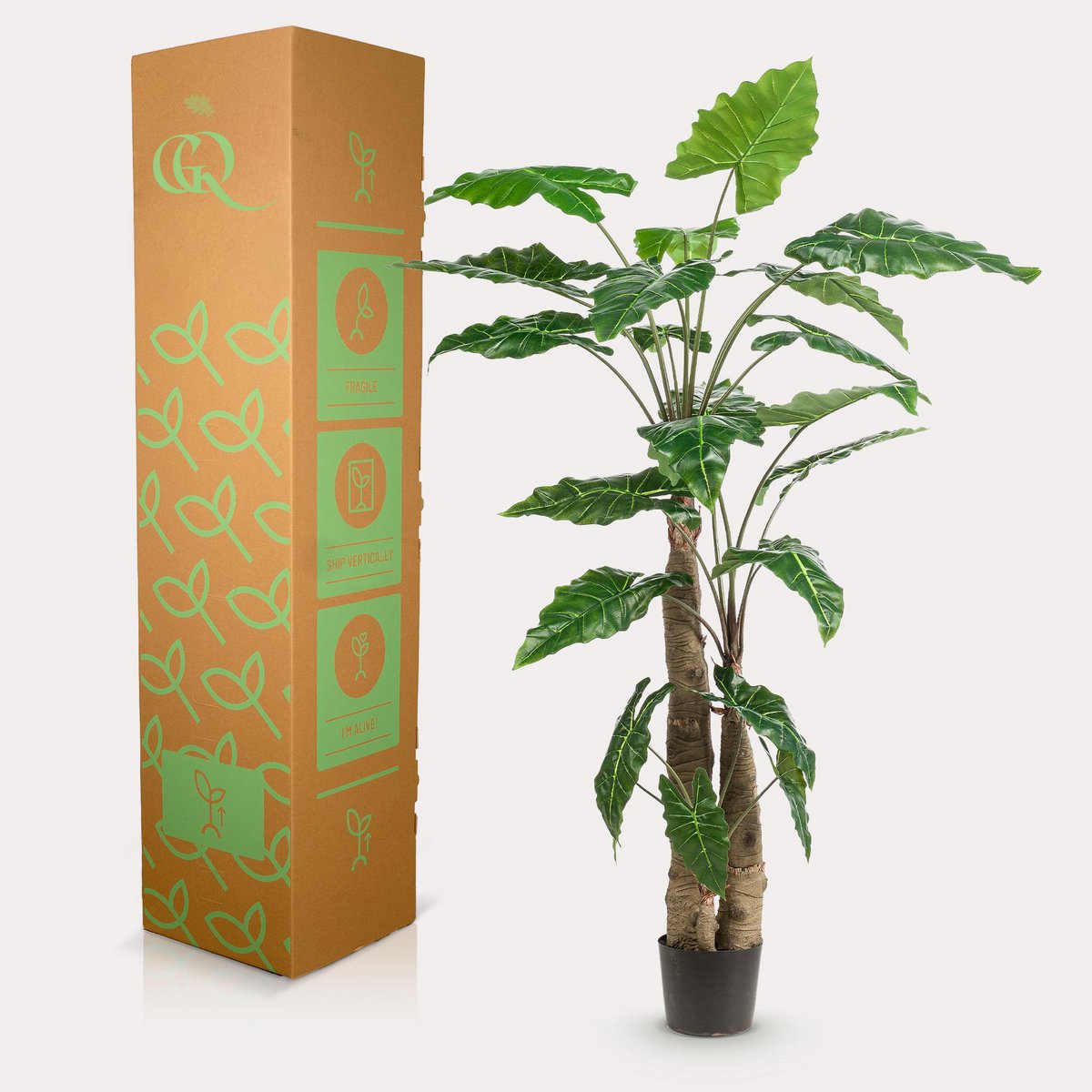 Künstliche Pflanze - Alocasia - Elefantenohr - 180 cm