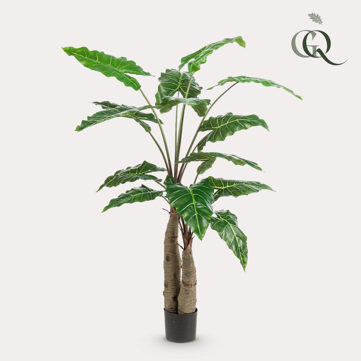 Künstliche Pflanze - Alocasia - Elefantenohr