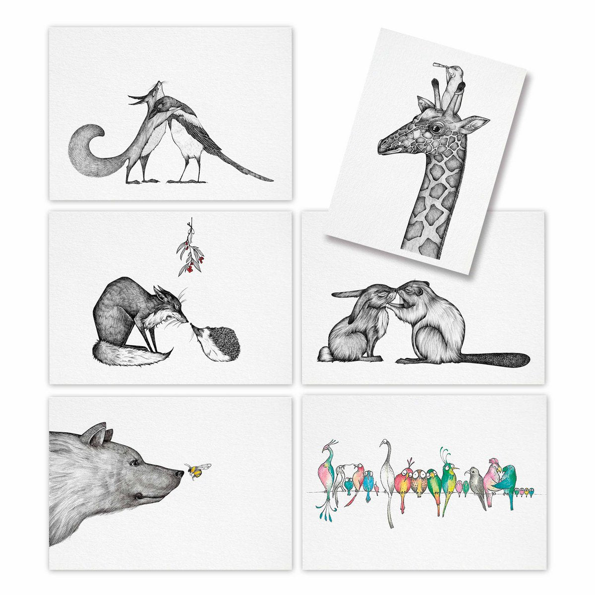 Postkarten – 6er-Set – Freundschaft