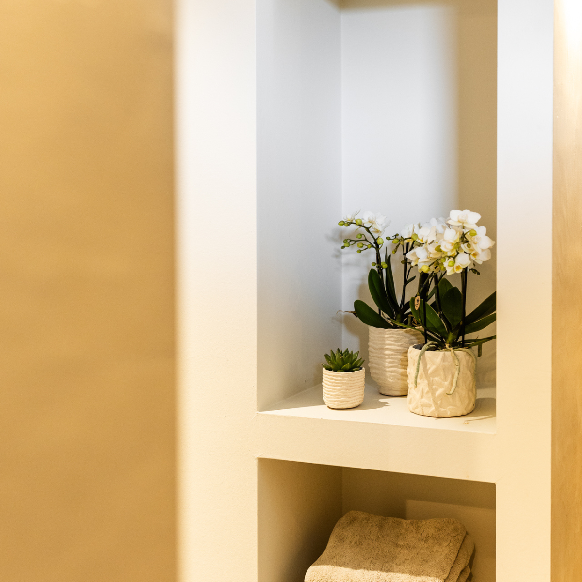 Seestern-Übertopf – gebrochenes Weiß – Ø6 cm