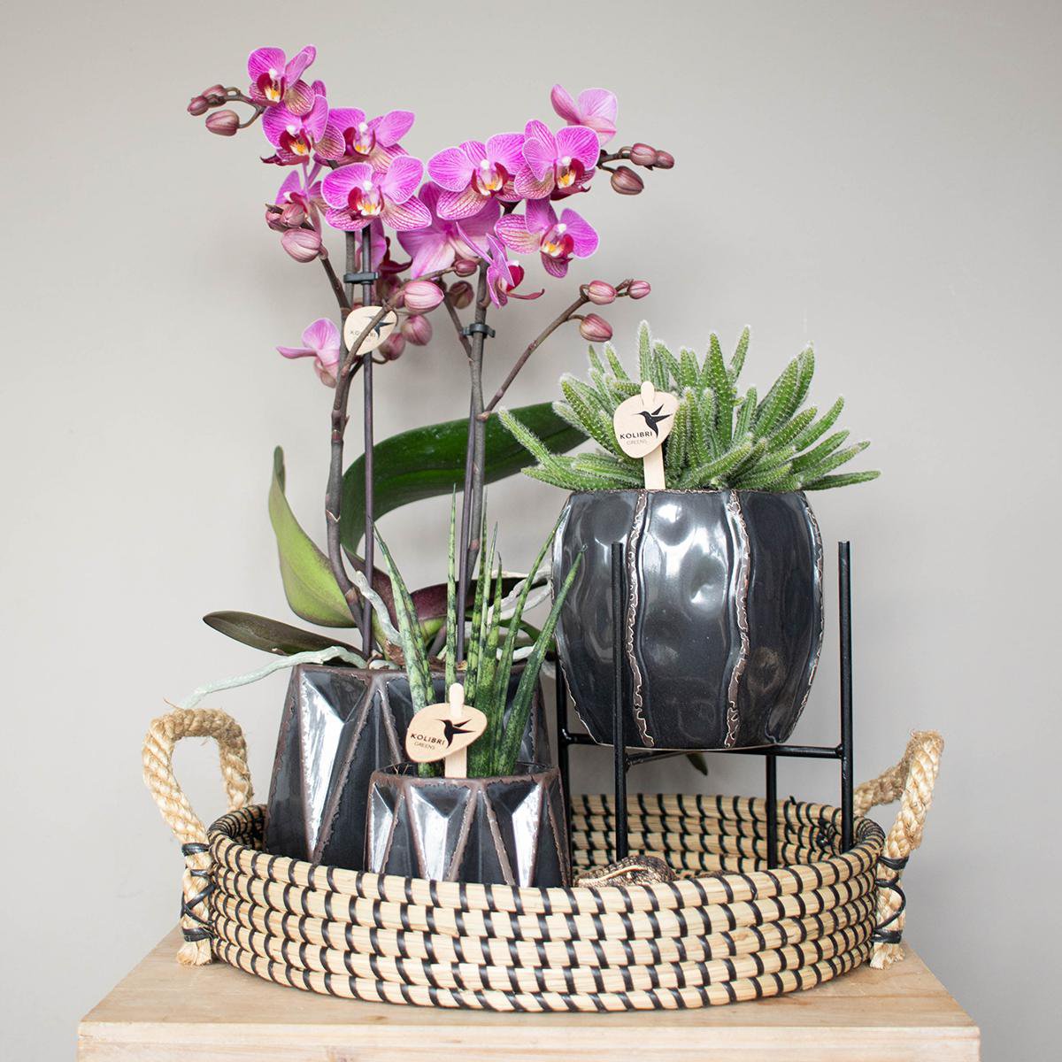 Dekorative Schale - Schwarzes geflochtenes Tablett Ø30cm