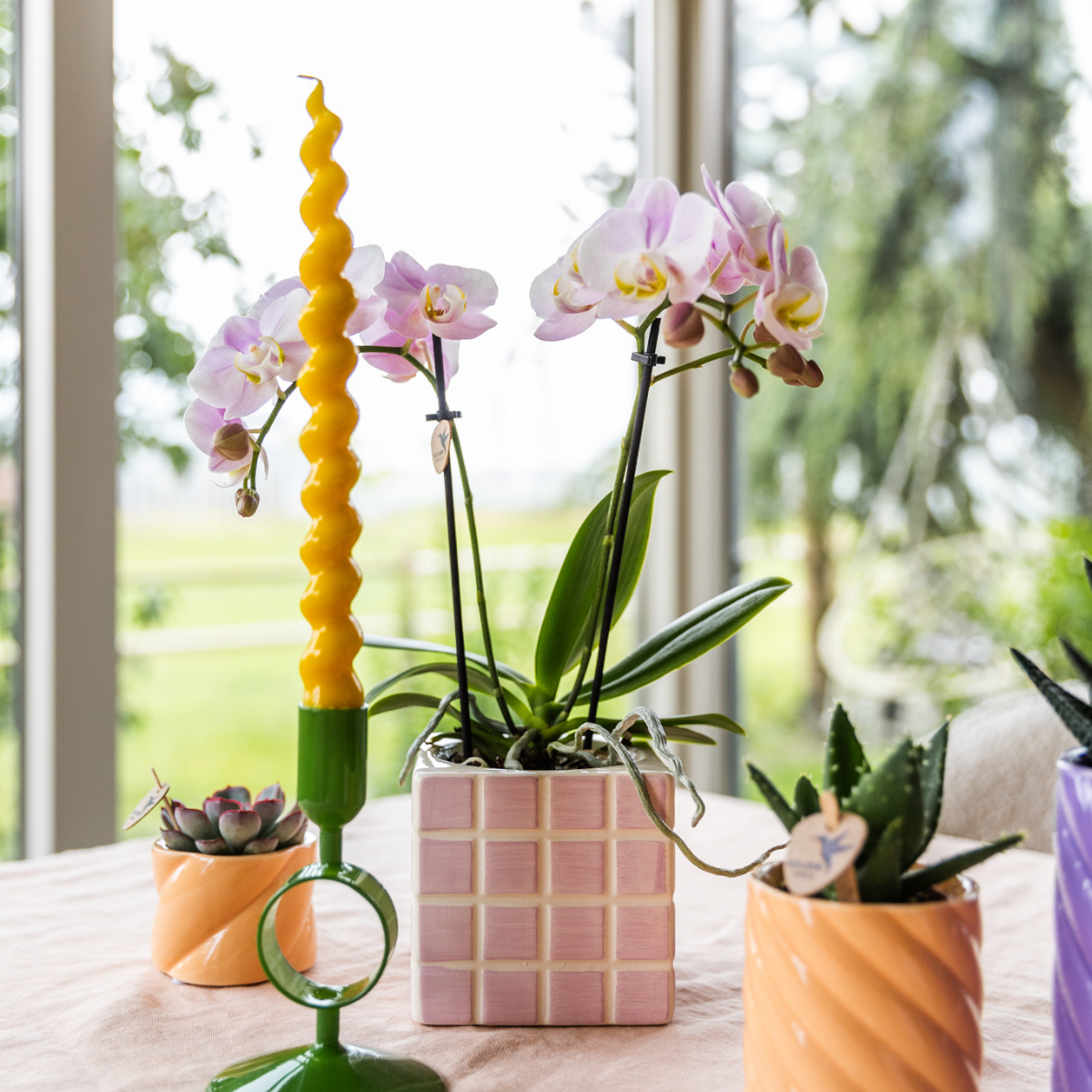 Übertopf „Mosa“ - Rosa - Ø9cm