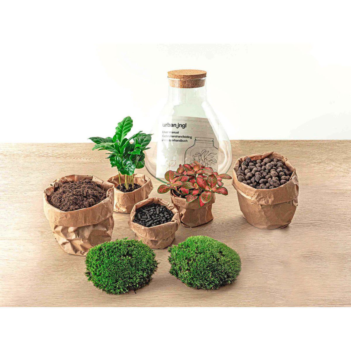 Terrarium-Bausatz – Sammie – Flaschengarten – ↑ 27 cm