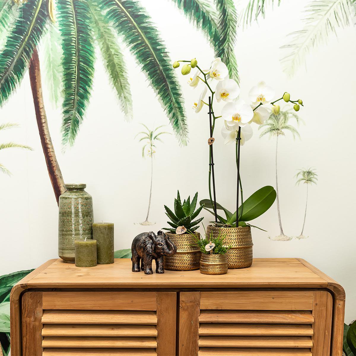 Übertopf „Groove“ -Blumentopf – Goldener dekorativer Keramiktopf – Topfgröße – Ø12 cm