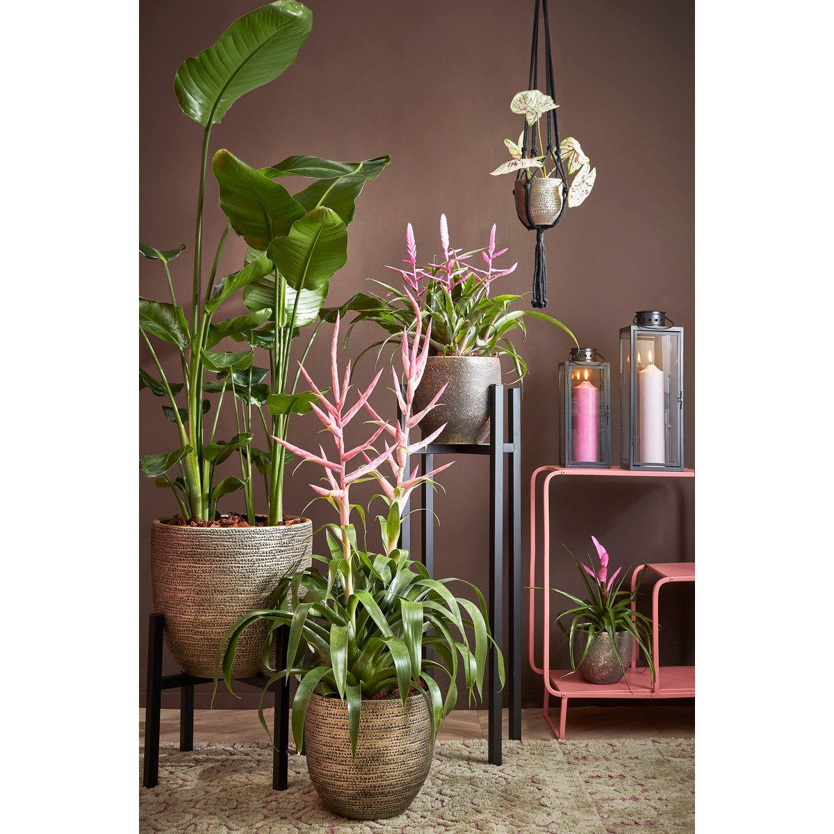 Ascot Pflanzenständer XL – L46 x B46 x H40 cm – Metall – Schwarz