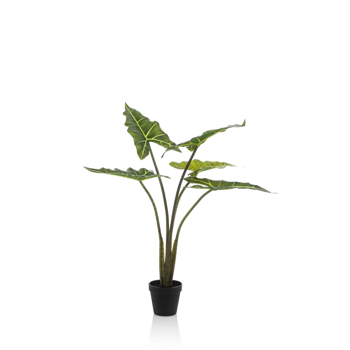 Kunstpflanze - Alocasia Frydek - Elefantenohr - 80 cm
