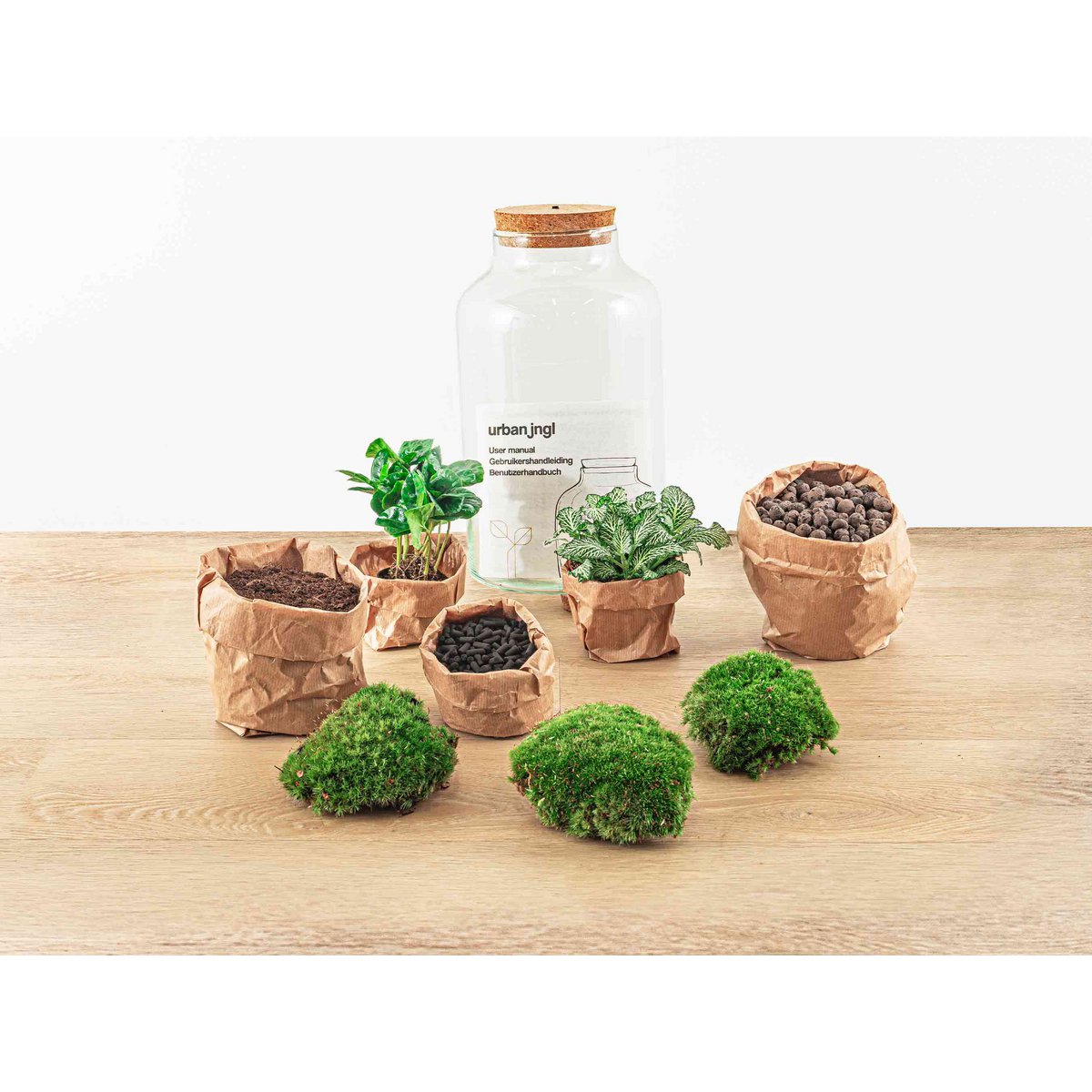 Terrarium-Bausatz – Cuffea und Fittonia mit Licht – Flaschengarten – ↑ 31 cm