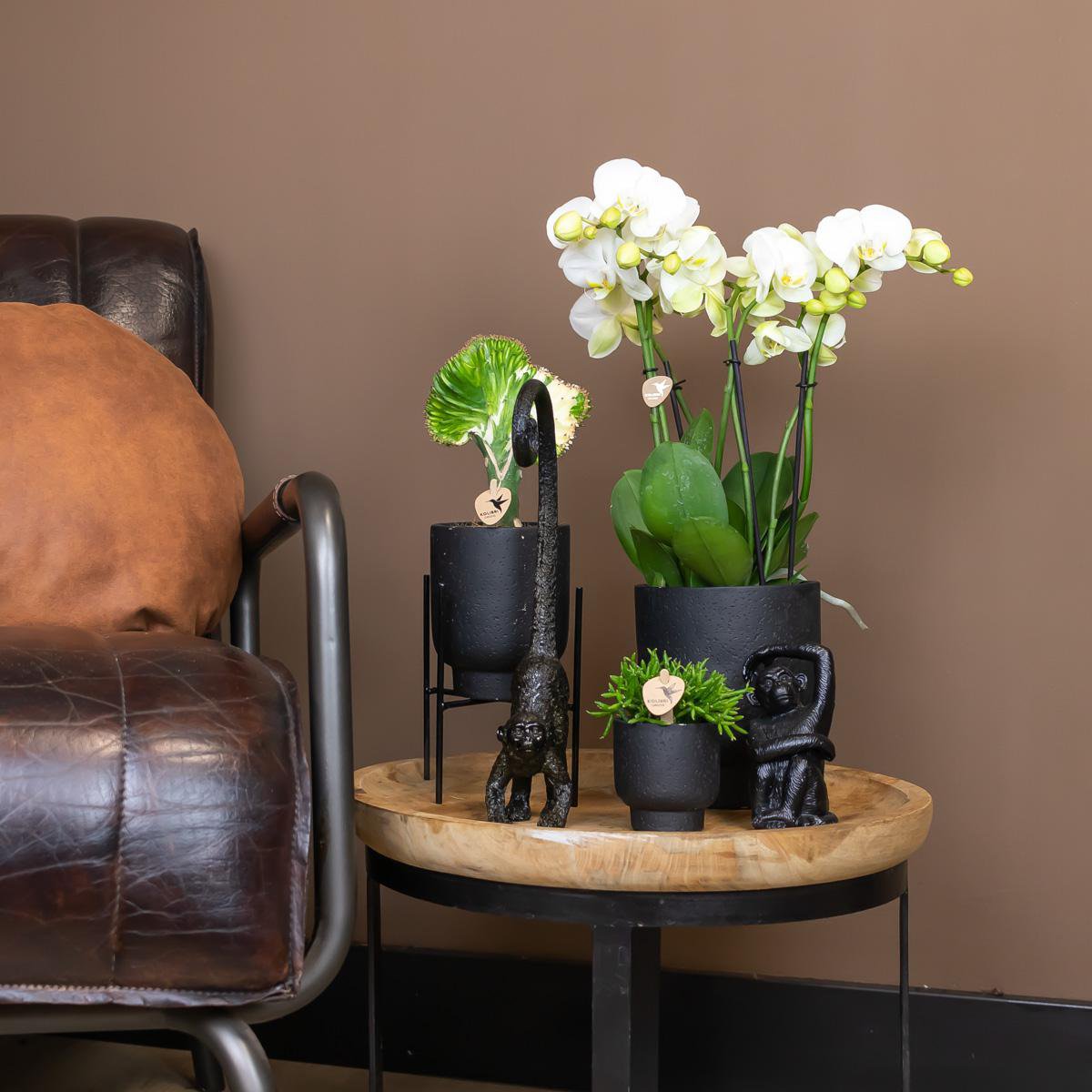 Dekorationsstatue Sitzender Affe - Schwarz