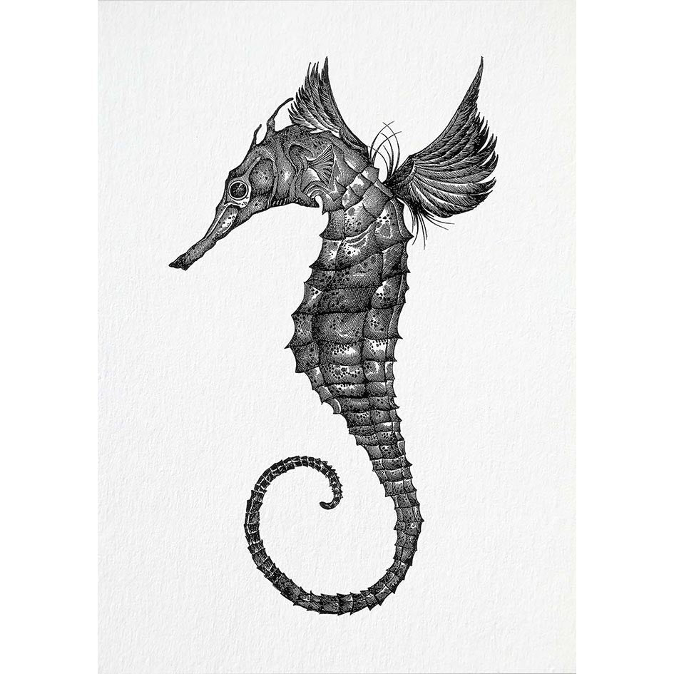 Postkarten – 5er-Set – Meerestiere