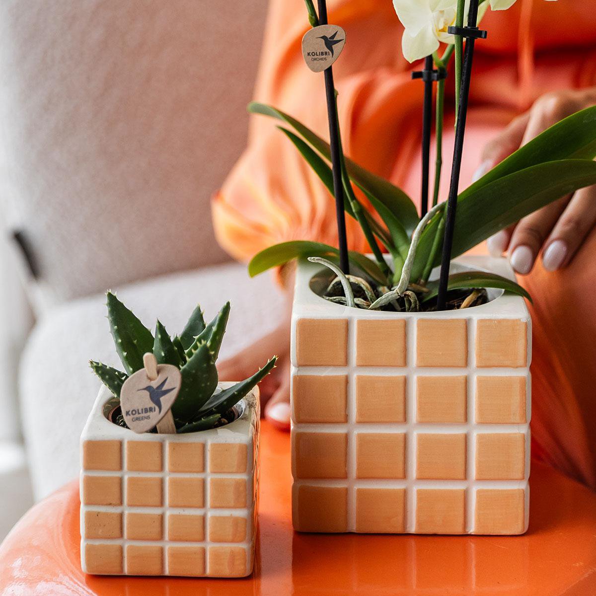 Übertopf „Mosa“ - Orange - Ø9cm