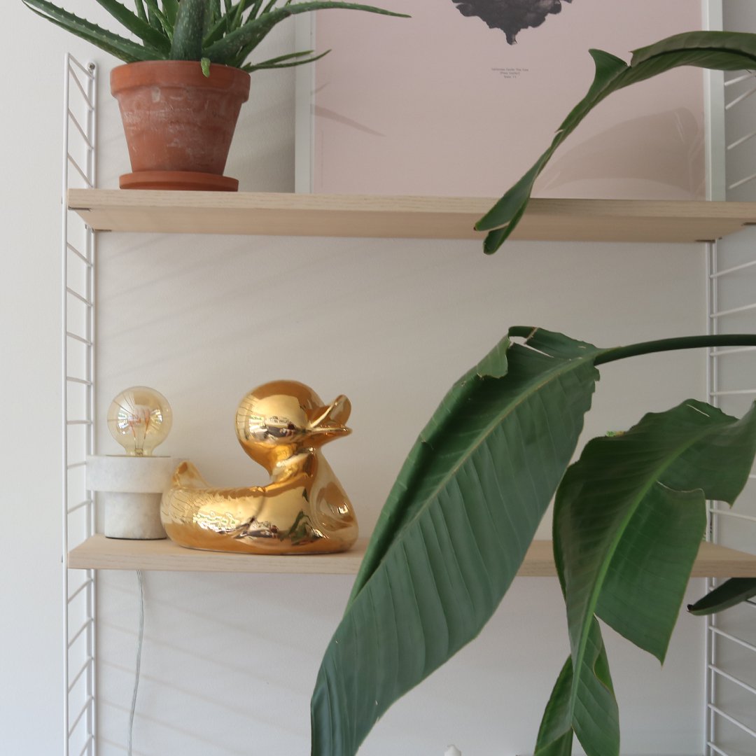 Herr. Hässliches Entlein klein und groß