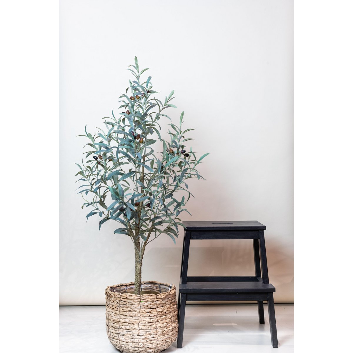Art Olivenbaum - Olea Europaea - Olivenbaum - 115 cm