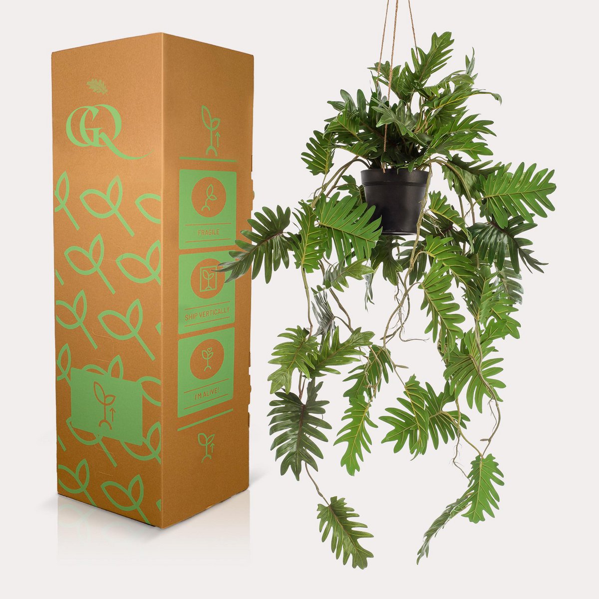 Kunstpflanze - Philodendron - Kletterbaumliebhaber - 80 cm