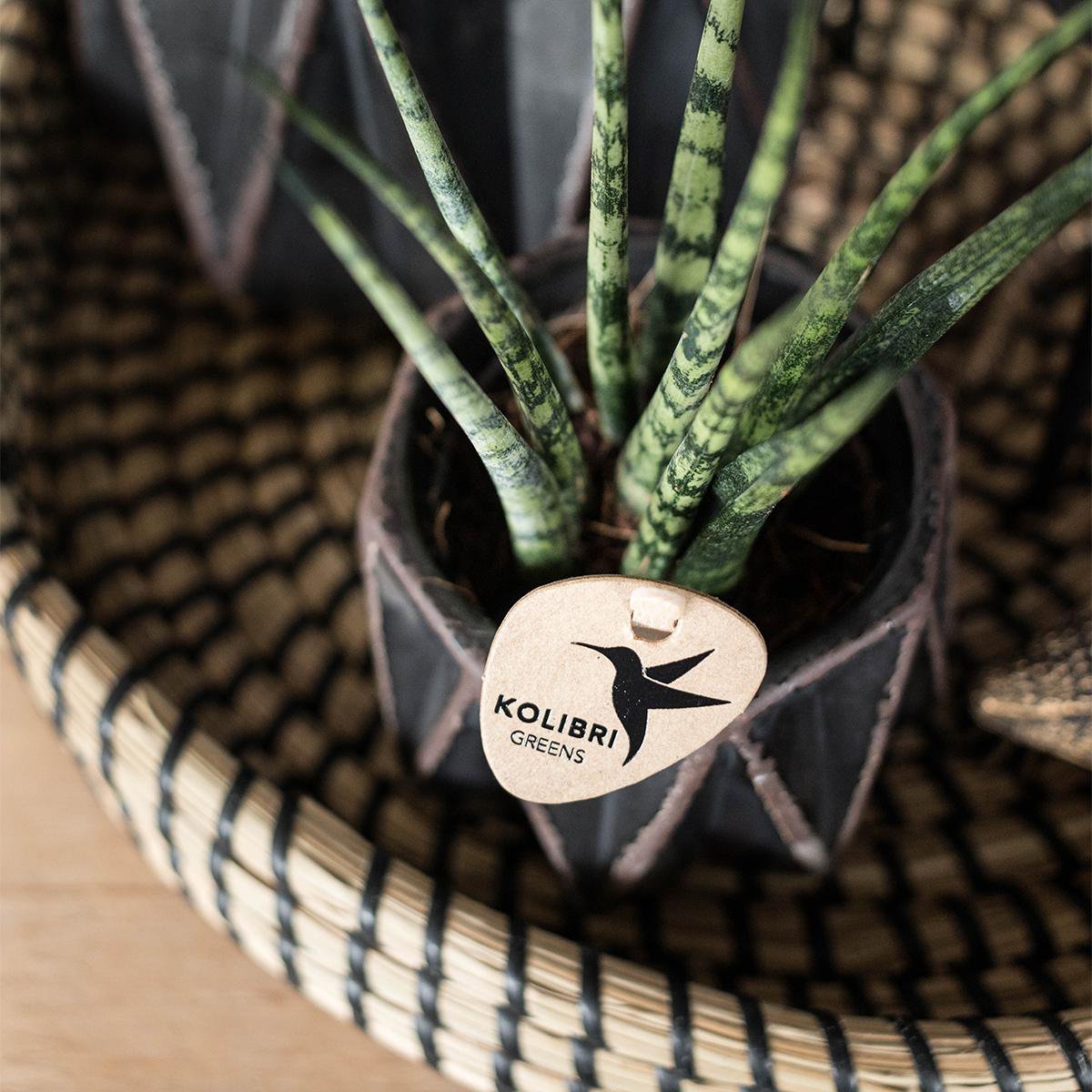 Dekorative Schale - Schwarzes geflochtenes Tablett Ø30cm