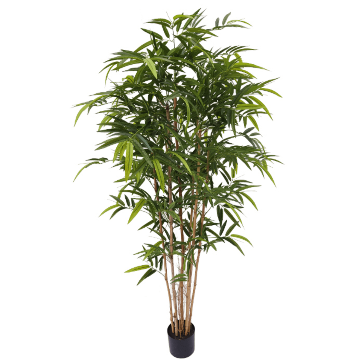 Künstliche Bambuspflanze 180 cm – Tannendiele BlumenGut Düsseldorf