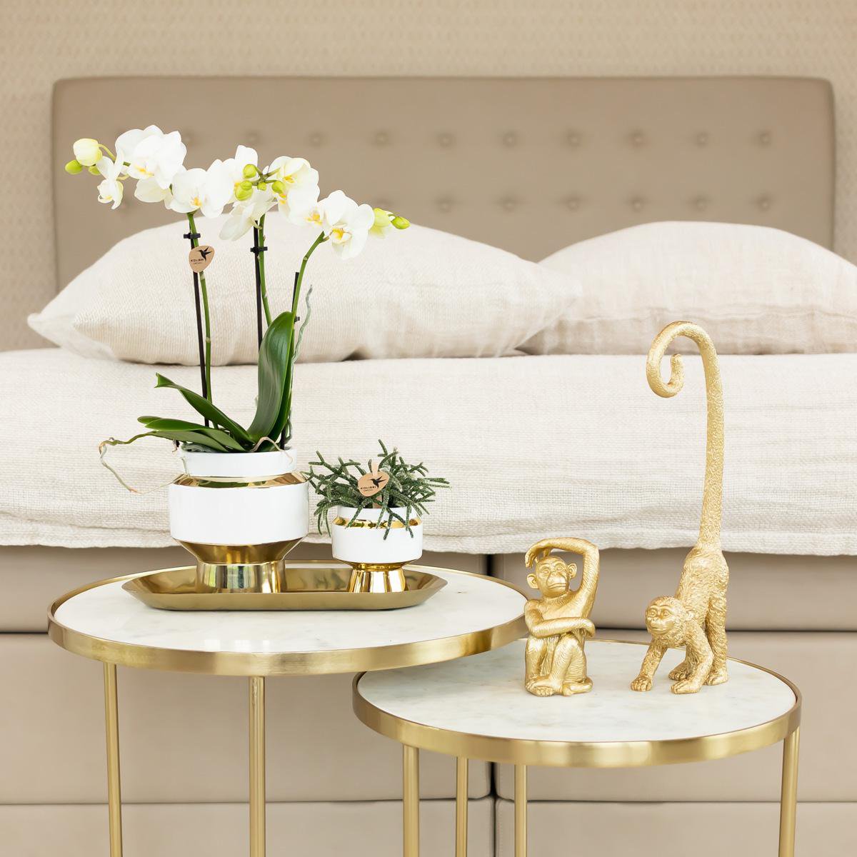 Le Chic Blumentopf – Weißer dekorativer Keramiktopf mit goldenen Details – Ø6 cm