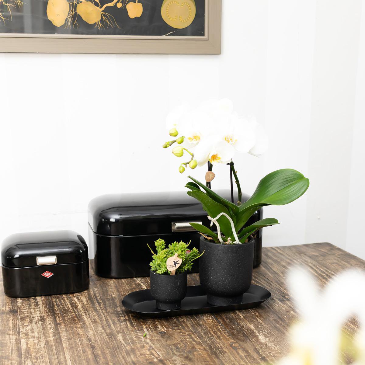 Teller oval - Ovale dienblad Ø30cm - Schwarz