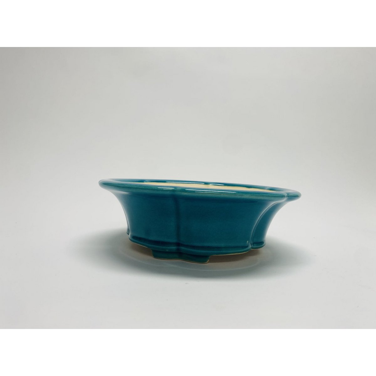 20 cm hochwertige glasierte Bonsaischale mit Blumenmuster. 20 cm hochwertige glasierte Bonsaischale mit Blumenmuster. Größe: L x 20 cm x 20 cm x 10 cm