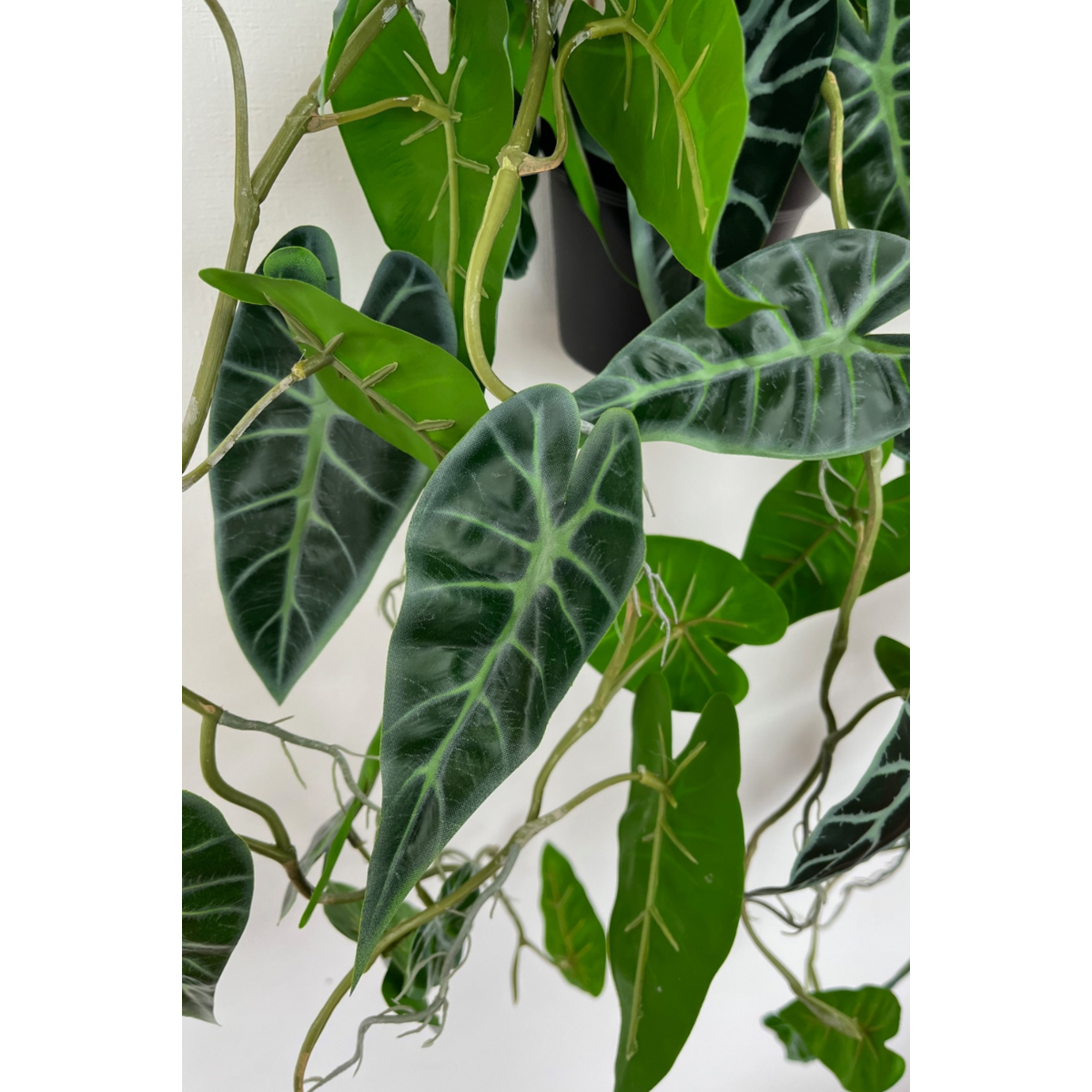 künstliche hängepflanze Künstliche Hängepflanze Caladium, 95 cm – Tannendiele BlumenGut Düsseldorf