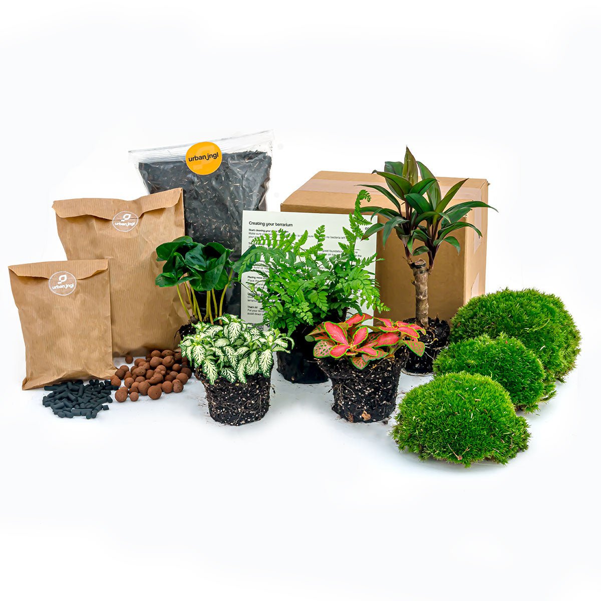 Pflanzenterrarium-Paket – Jungle 5 – Nachfüll- und Starterpaket – DIY-Terrarium-Set