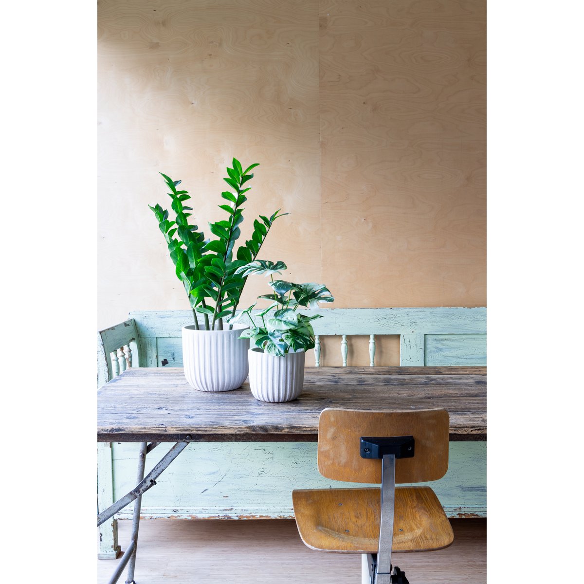 Zamioculcas Kunstpflanze 75cm – Tannendiele BlumenGut Düsseldorf