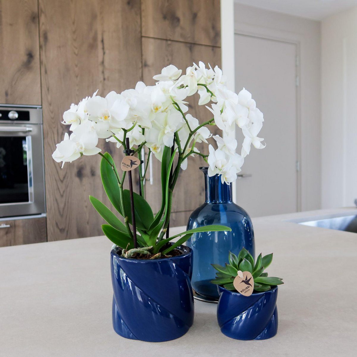 Übertopf „Candy“ - Blau - Ø9cm