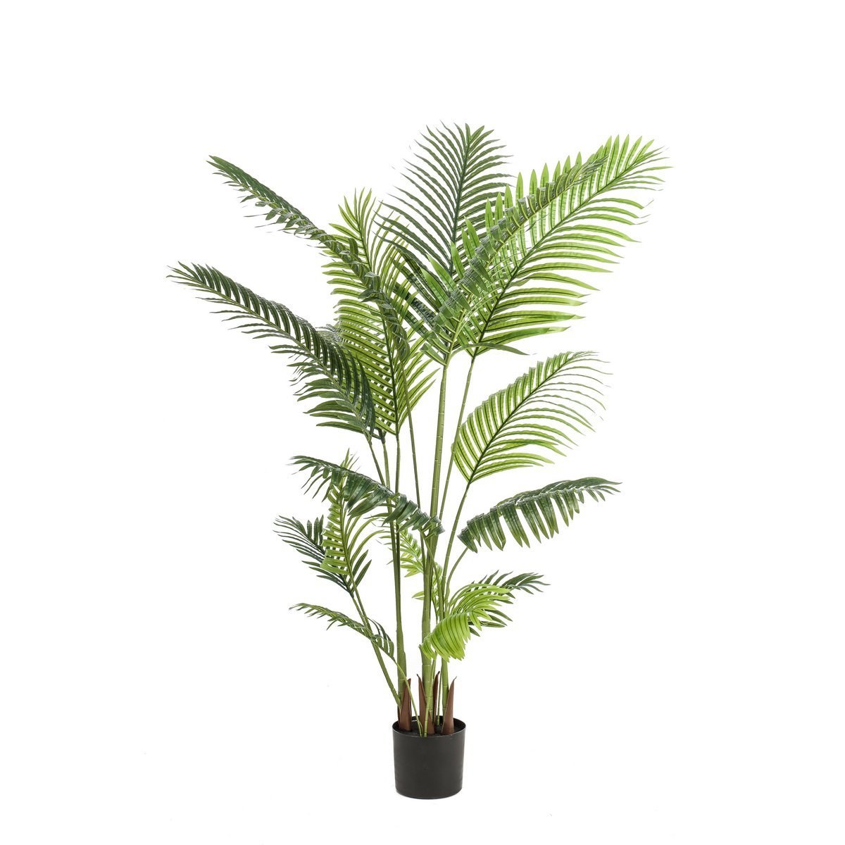 Künstliche Pflanze - Howea Forsteriana - 160 cm