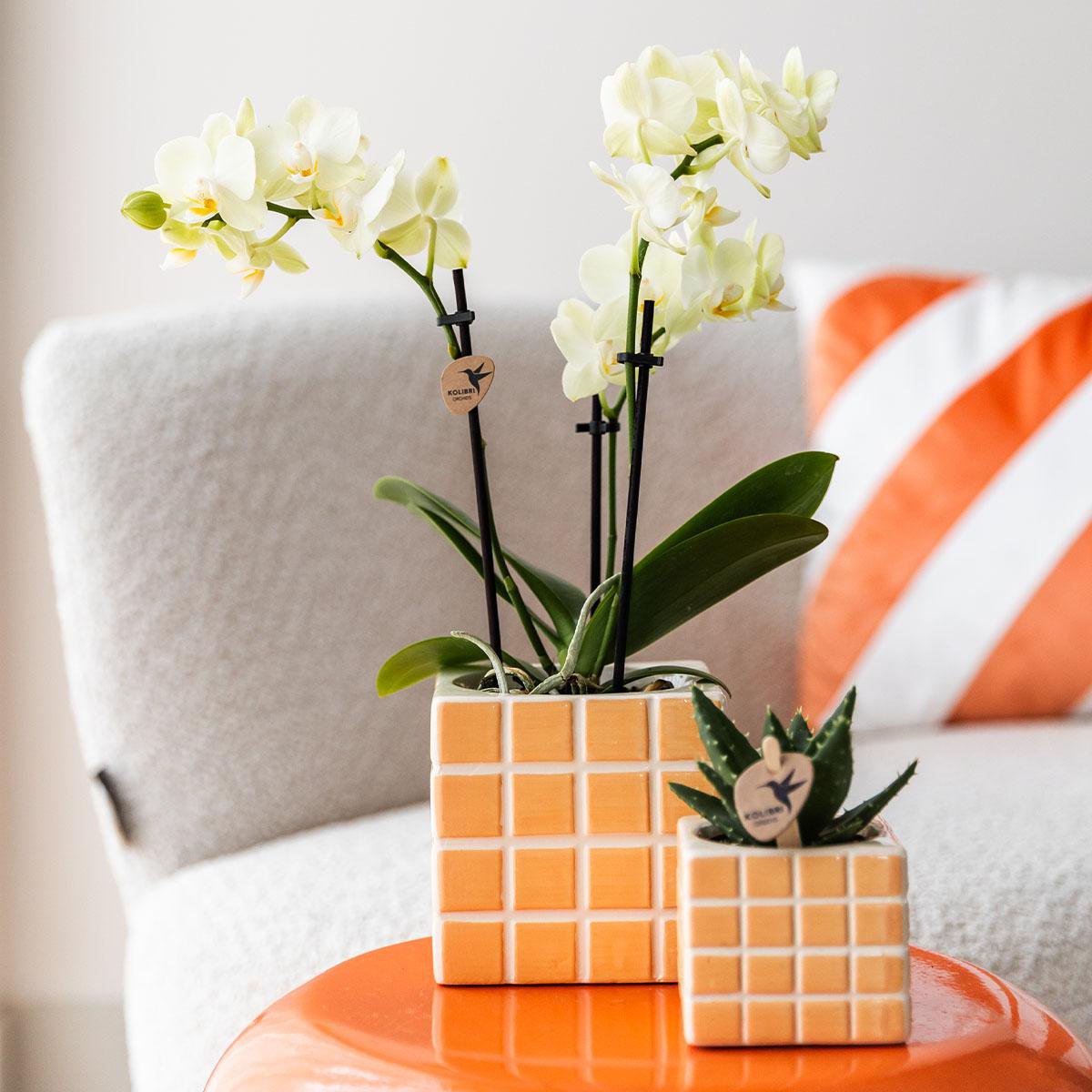 Übertopf „Mosa“ - Orange - Ø9cm