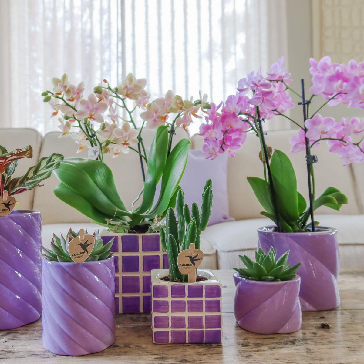 Übertopf „Candy“ Flieder - Ø9cm