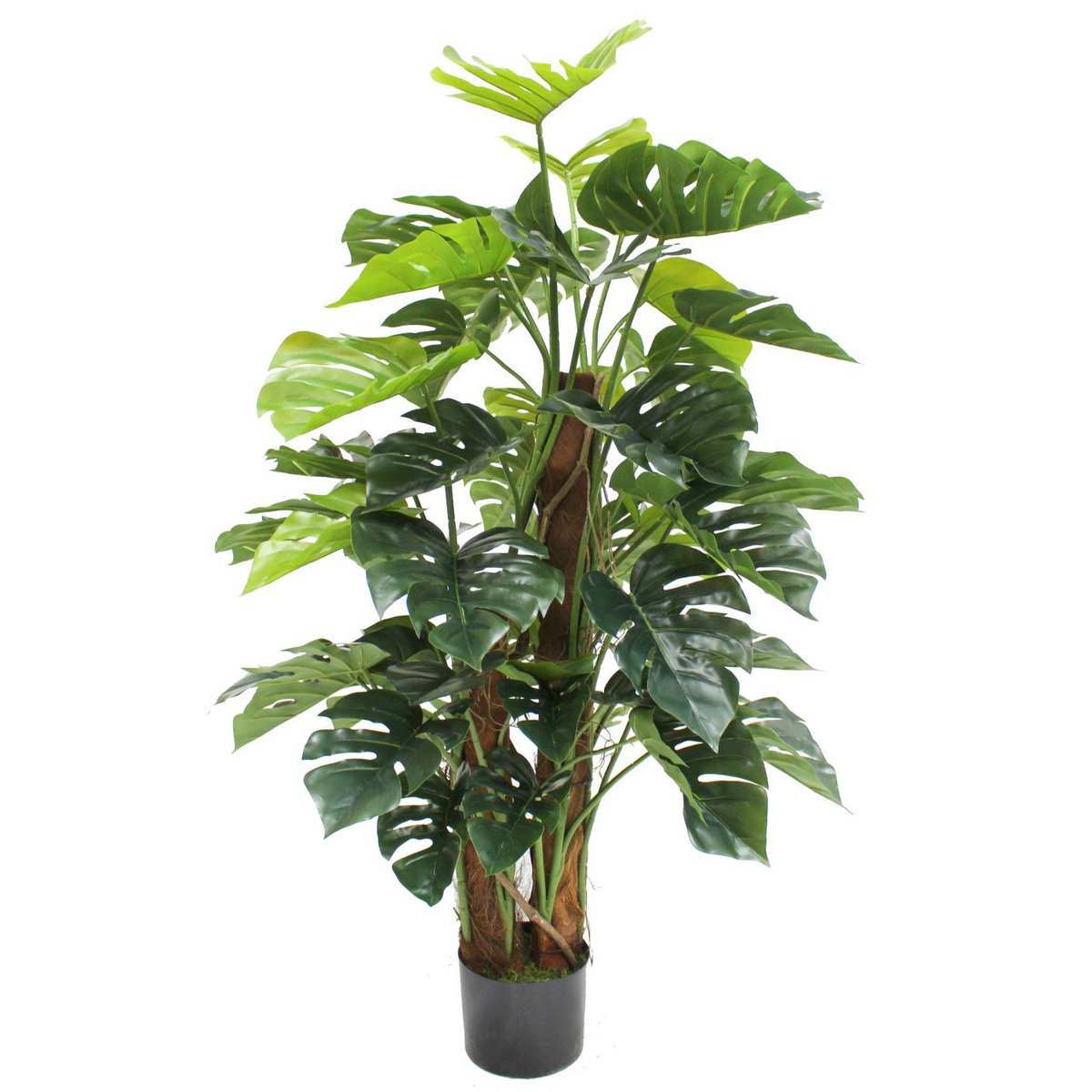 Künstliche Monstera-Pflanze, 120 cm – Tannendiele BlumenGut Düsseldorf