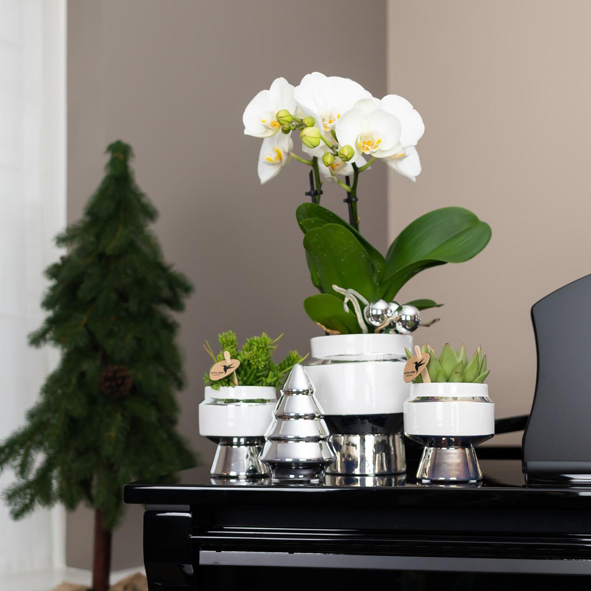 Le Chic Blumentopf – Weißer dekorativer Keramiktopf mit silbernen Details – Ø9 cm